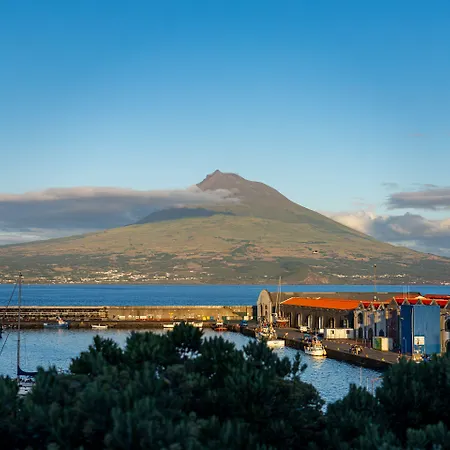 Do Canal Horta (Azores)